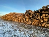 Пиловочник картинка из объявления