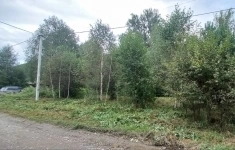 Продам участок 11 сот. картинка из объявления