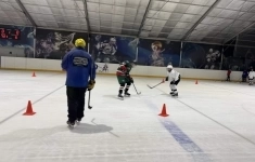 Хоккейная школа индивидуальной подготовки HOCKMASTER картинка из объявления