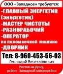 Главный энергетик (энергетик) Мастер чистоты Разнорабочий Оператор на поломоечной  машине Дворник картинка из объявления