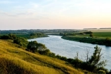 Инвестпроект - Земля в лесу у реки Дон под комплексную застройку картинка из объявления