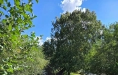 Продам участок 15 сот. картинка из объявления
