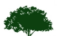 Визуализатор / 3D-моделлер (в офис) картинка из объявления