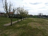 Дом в Дече, Сербия картинка из объявления