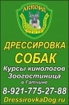 Центр кинологии "Аккорд": дрессировка собак, гостиница для животн картинка из объявления