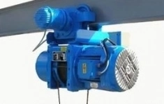 Таль электрическая, 2011 г. в (Лот 14) в объявлении 1 фото Таль электрическая, 2011 г. в (Лот 14) картинка из объявления