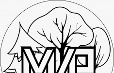 Вожатый в летний лагерь картинка из объявления