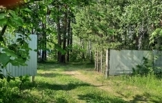 Продам участок 45 сот. картинка из объявления