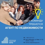 Агент по продажам картинка из объявления