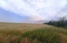 Продам участок 495 сот. в объявлении 4 фото Продам участок 495 сот. картинка из объявления