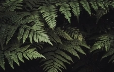 Воспитатель в объявлении 1 фото Воспитатель картинка из объявления