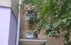 Продам 2 комнатную квартиру 44 м2 картинка из объявления