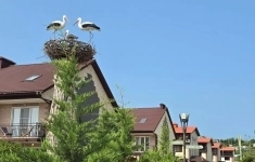 Продам коттедж 88 м2 картинка из объявления