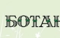 Официант в кафе Ботаника (м. Чернышевская) картинка из объявления