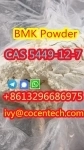 8613296686975 New BMK Powder cas 5449-12-7 картинка из объявления