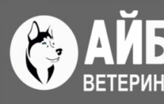 Ассистент ветеринарного врача картинка из объявления