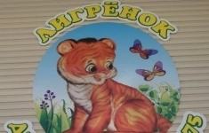 Главный бухгалтер в объявлении 1 фото Главный бухгалтер картинка из объявления