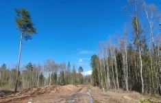 Продам участок 10 сот. картинка из объявления