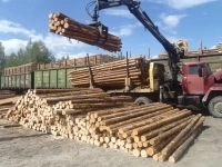 Доска. Брус. Круглый лес картинка из объявления