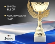 Стильные кубки и медали — всё для торжественного награждения в объявлении 1 фото Стильные кубки и медали — всё для торжественного награждения картинка из объявления