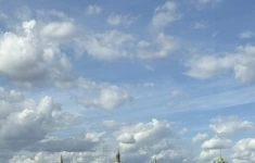 Продам 4 комнатную квартиру 111 м2 картинка из объявления