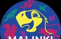 Менеджер по продажам в объявлении 1 фото Менеджер по продажам картинка из объявления