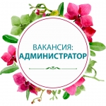 Администратор офиса картинка из объявления