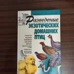 Разведение экзотических домашних птиц"страусы,фазаны,павлины,цеса картинка из объявления