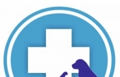 Ветеринарный врач картинка из объявления