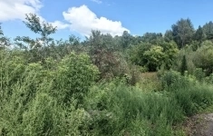 Продам участок 30 сот. в объявлении 10 фото Продам участок 30 сот. картинка из объявления