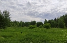 Продам коммерческую недвижимость 36 сот картинка из объявления