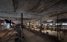 Сдам коммерческую недвижимость 3350 м2 картинка из объявления