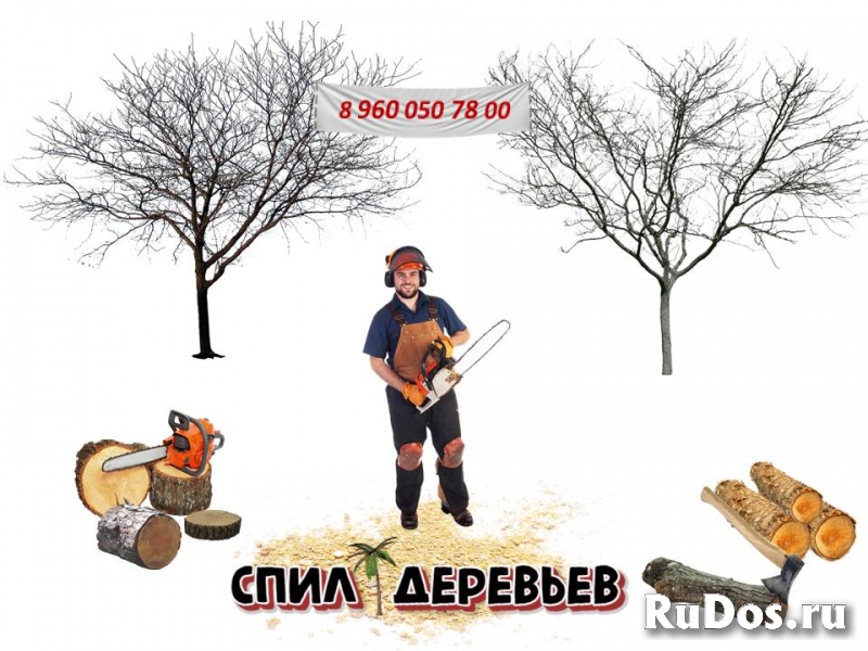 Вырубка деревьев, кустов в Казани | Уборка участков фото