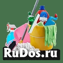 Моющие и чистящие средства (профессиональные) фото