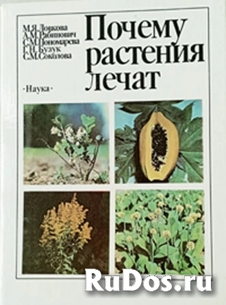 Книга о лечении травами фото